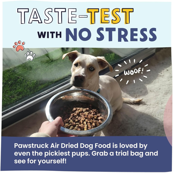 All Natural Air Dried Dog Food with Real Beef, Grain Free