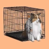 Cages & Crates