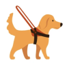Harnesses